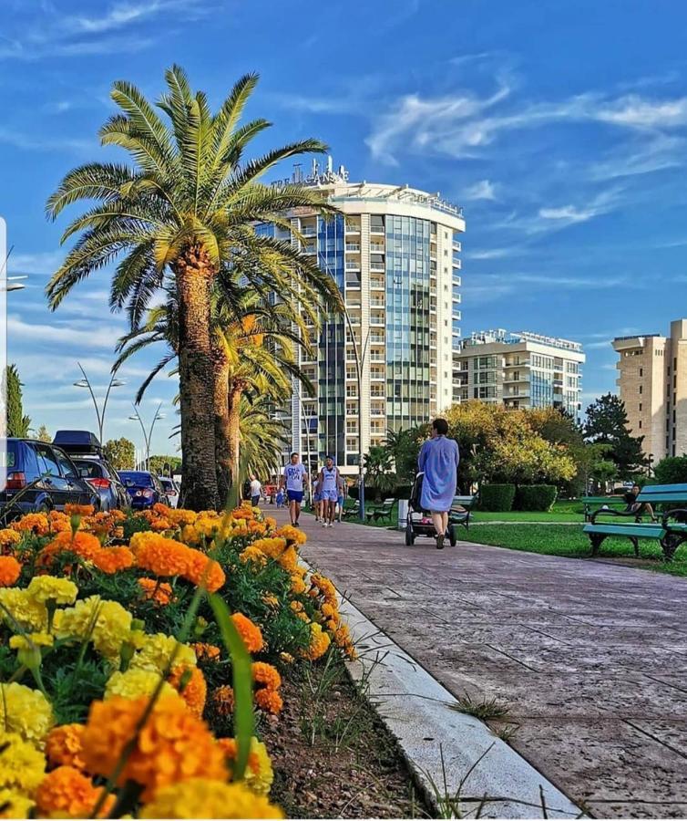 Pedja Zec Exclusive 3+ Budva
