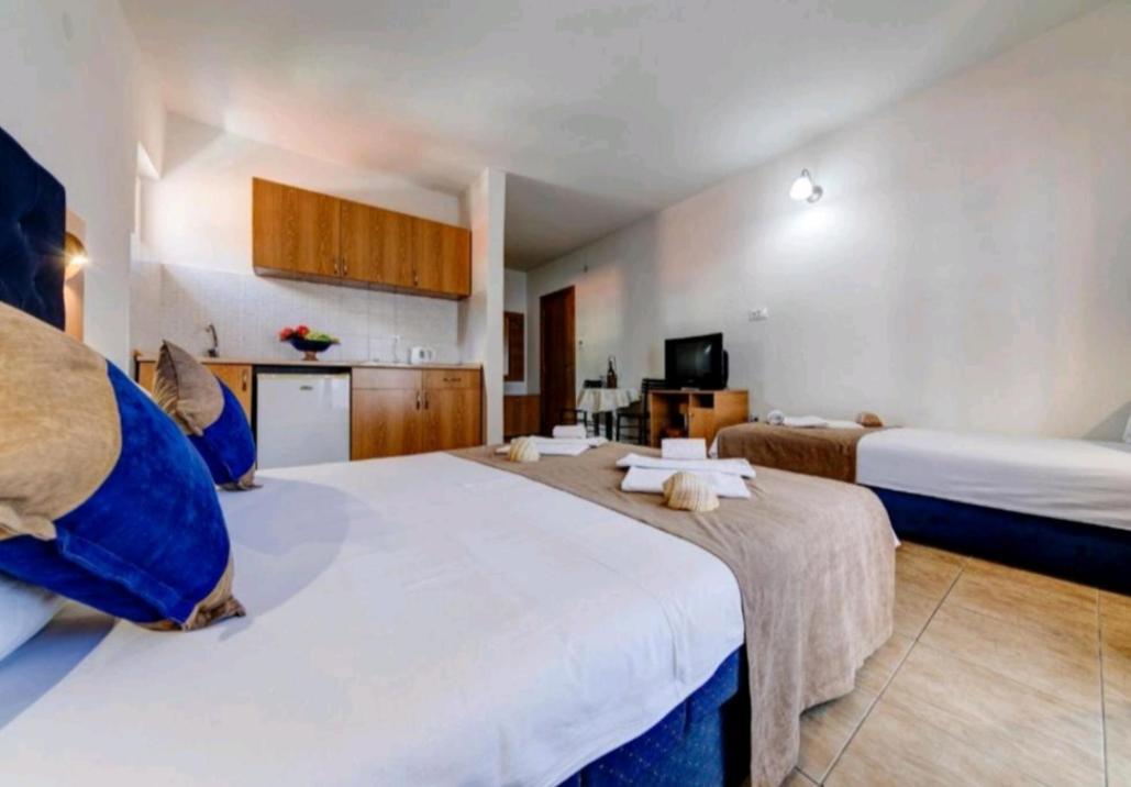 Pedja Zec Exclusive 3+ Apartment *