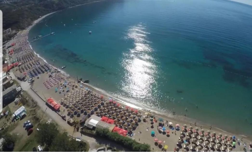 Pedja Zec Exclusive 3+ Budva