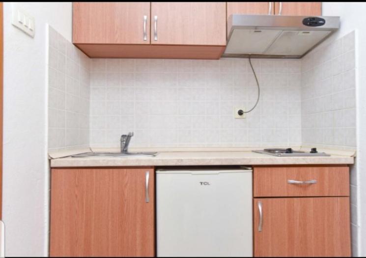 Pedja Zec Exclusive 3+ Apartment *